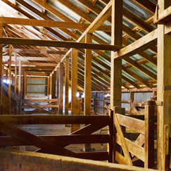 Errowanbang Shed Thumbnail 243x243